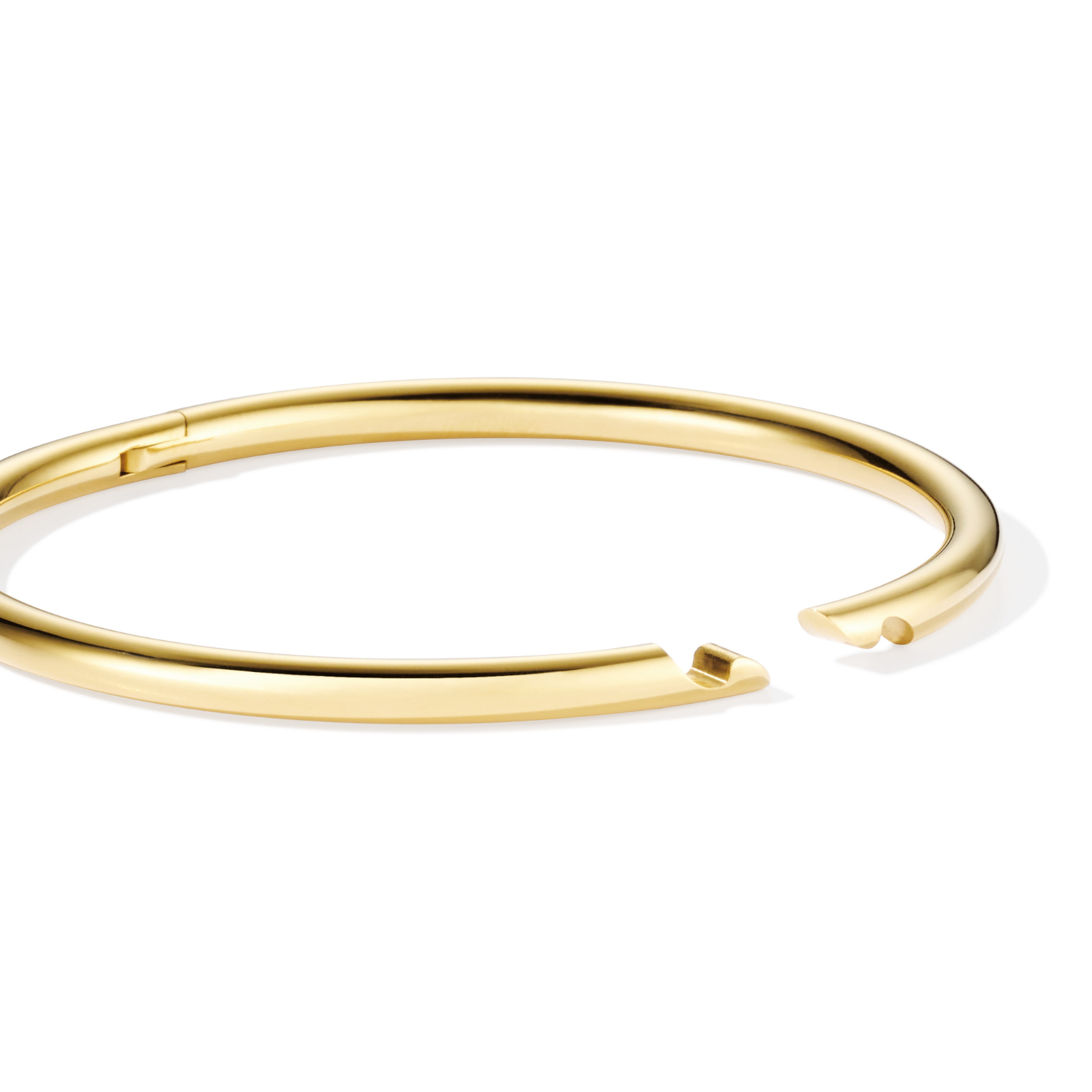 Zebra Bracelet and AN-O Bracelet Box - Light gold