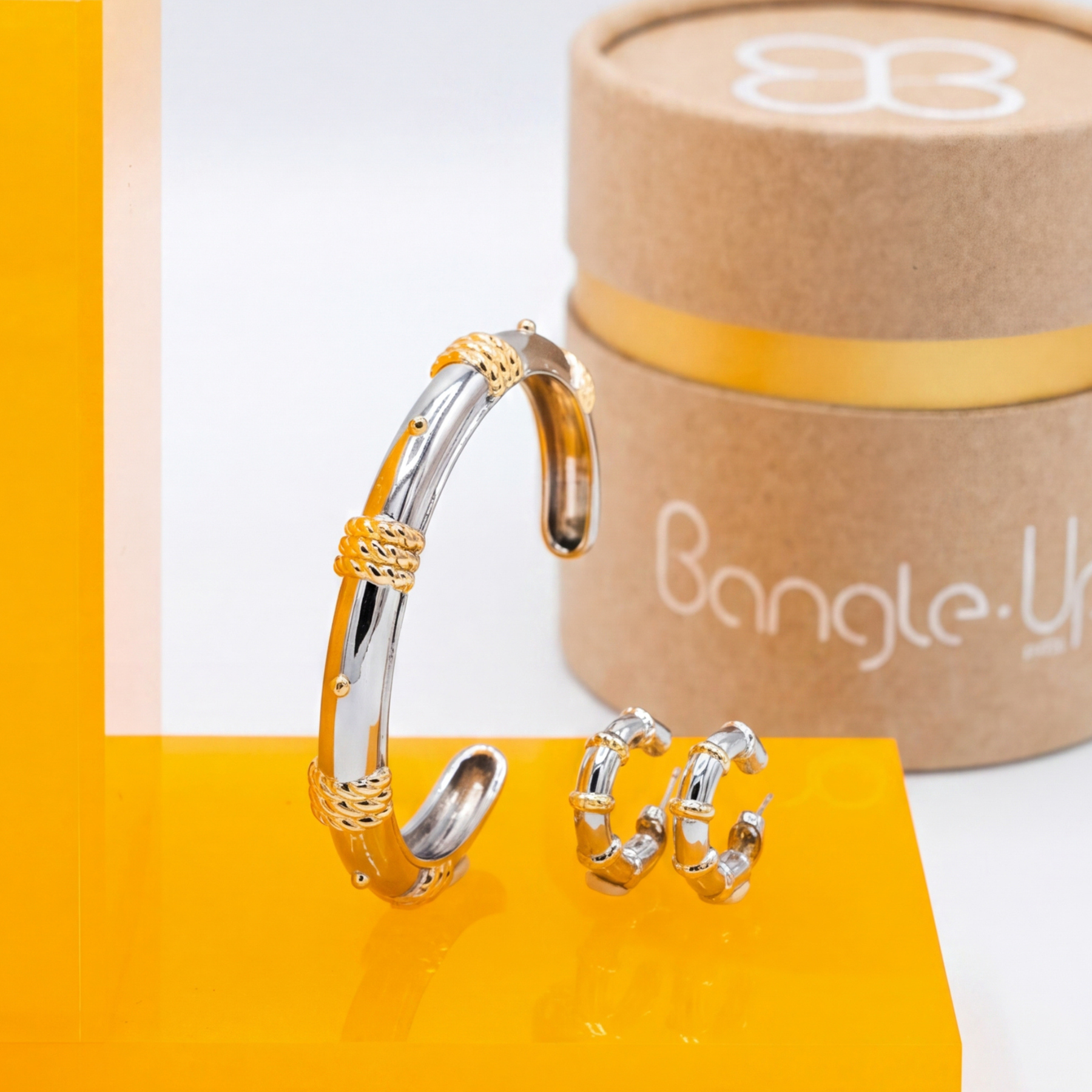 Coffret jonc et boucles d'oreilles Eole  - Bicolore